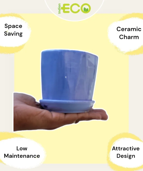 blue ceramic pots