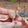 miniature-kangaroo