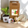 Eco Rakhi Kit