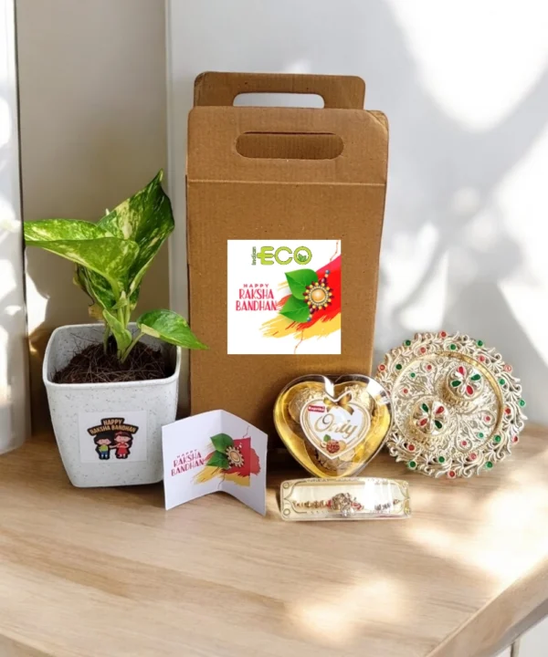 Eco Rakhi Kit