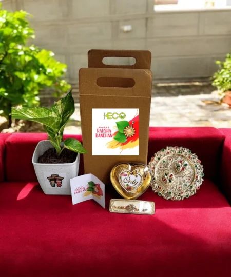 Eco Rakhi Kit